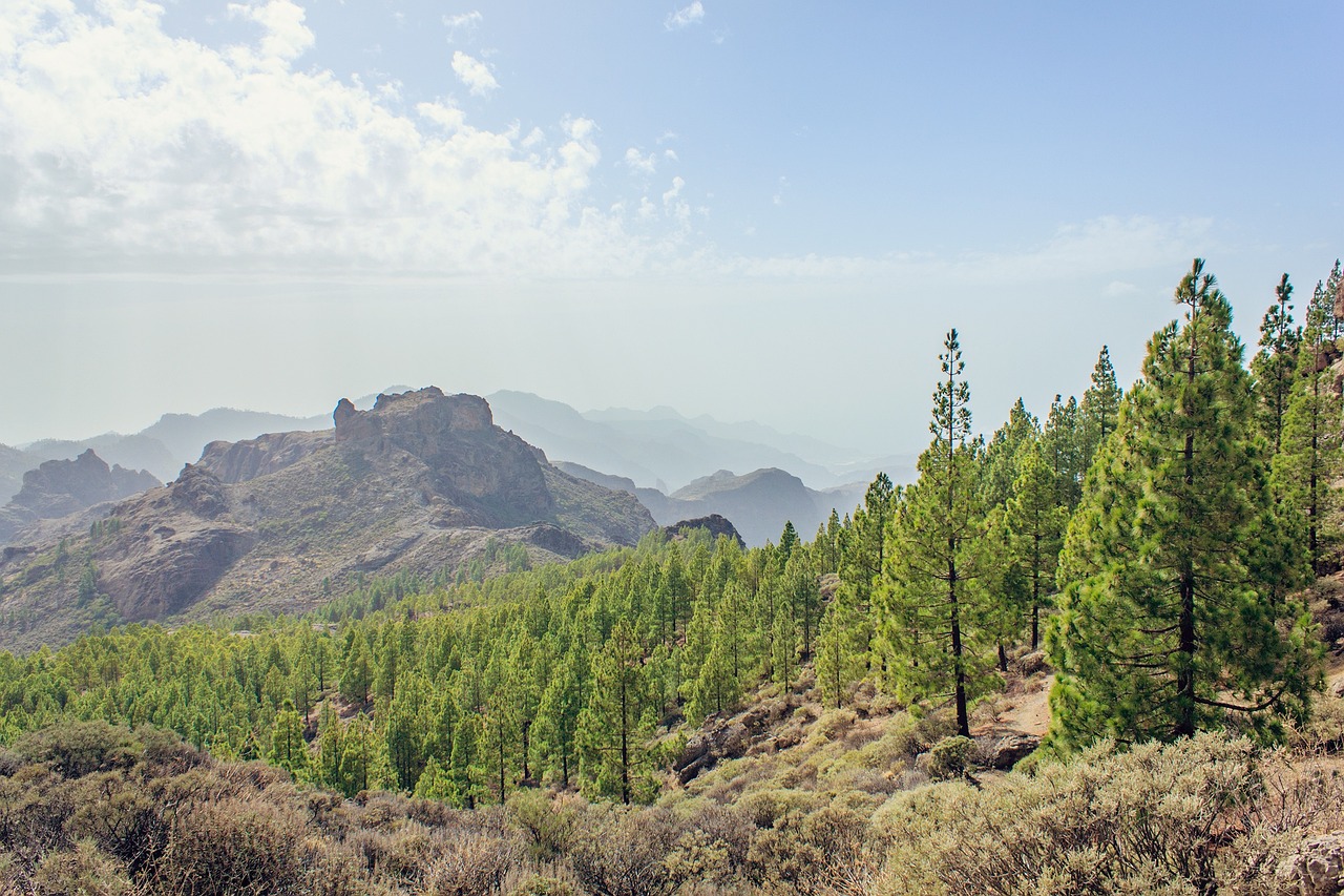 gran-canaria-1171713_1280