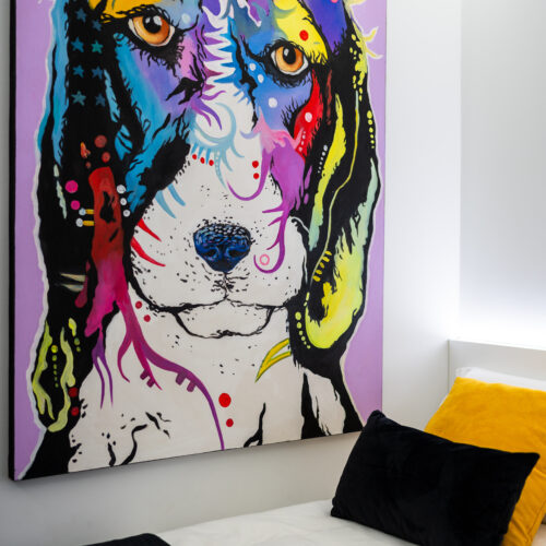 las americas (37 of 44)